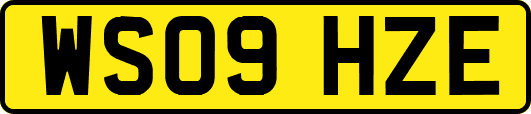 WS09HZE