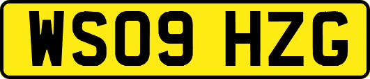 WS09HZG