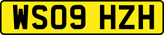 WS09HZH