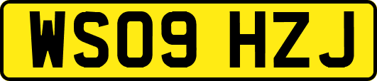 WS09HZJ