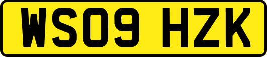 WS09HZK