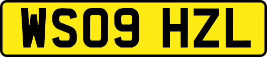 WS09HZL