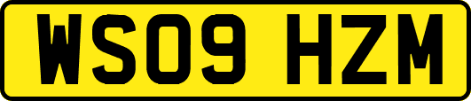 WS09HZM