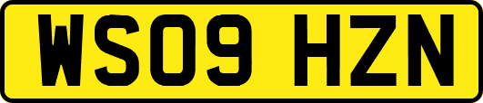 WS09HZN