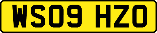 WS09HZO