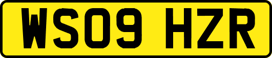 WS09HZR