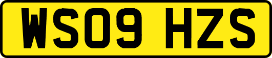 WS09HZS