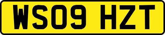 WS09HZT