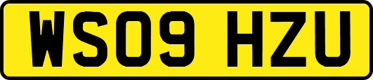 WS09HZU