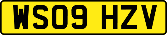 WS09HZV