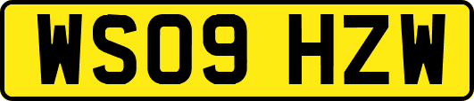WS09HZW