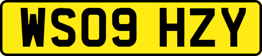 WS09HZY