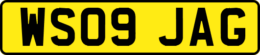 WS09JAG