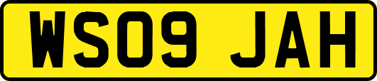 WS09JAH