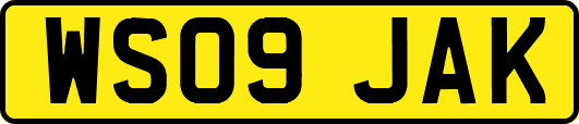 WS09JAK