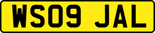 WS09JAL