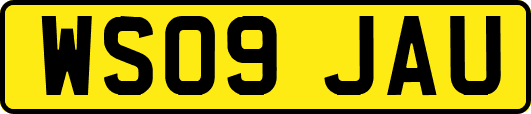 WS09JAU