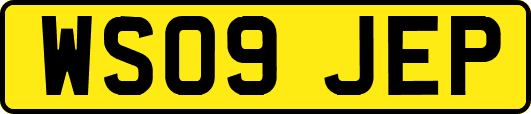 WS09JEP