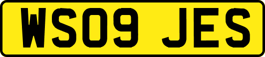 WS09JES