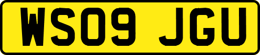 WS09JGU