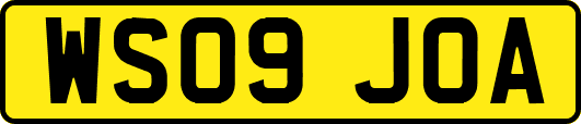 WS09JOA