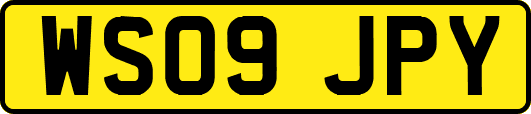WS09JPY