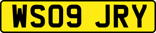 WS09JRY