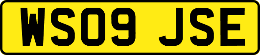 WS09JSE