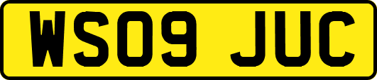WS09JUC
