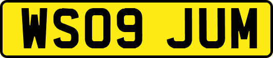 WS09JUM