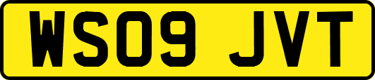 WS09JVT