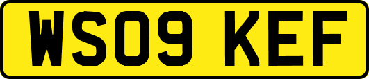 WS09KEF
