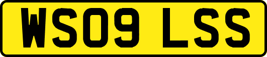 WS09LSS