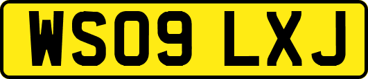 WS09LXJ