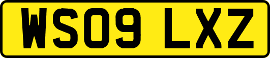 WS09LXZ