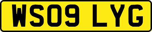 WS09LYG