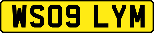 WS09LYM
