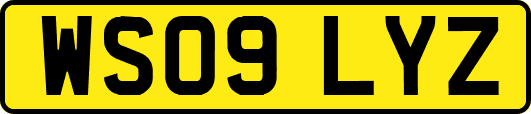 WS09LYZ
