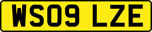 WS09LZE