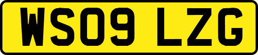 WS09LZG