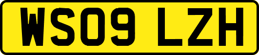WS09LZH