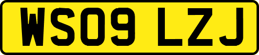 WS09LZJ