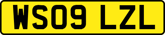 WS09LZL