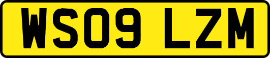WS09LZM