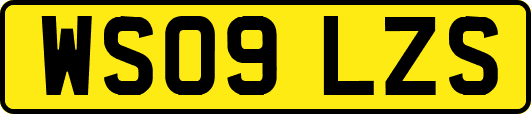 WS09LZS