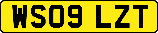 WS09LZT