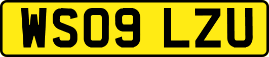 WS09LZU