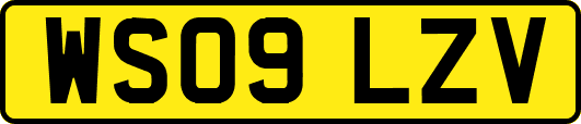 WS09LZV