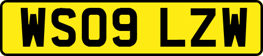 WS09LZW