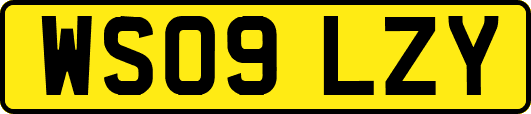 WS09LZY